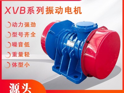 濱河電機(jī)XVB系列臥式三相振動電機(jī)
