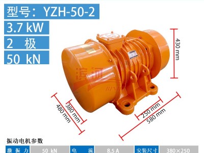濱河電機(jī)YZH-50-2三相異步振動(dòng)電機(jī)